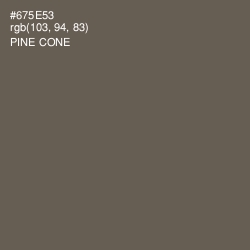 #675E53 - Pine Cone Color Image